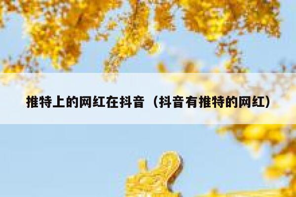 推特上的网红在抖音（抖音有推特的网红） 第1张