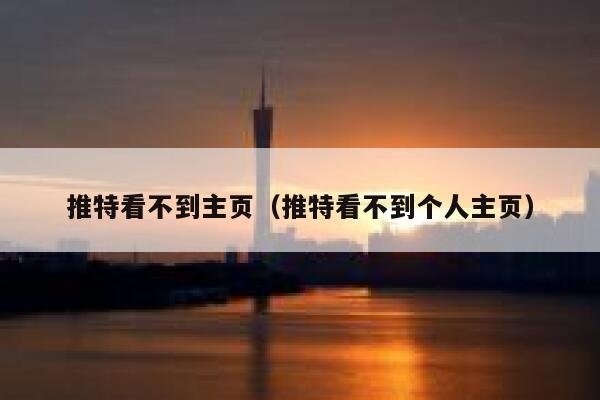 推特看不到主页(推特看不到个人主页) 第1张 推特看不到主页(推特看不到个人主页) 第1张