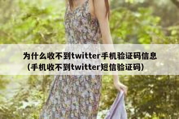 为什么收不到twitter手机验证码信息(手机收不到twitter短信验证码) 第1张 为什么收不到twitter手机验证码信息(手机收不到twitter短信验证码) 第1张