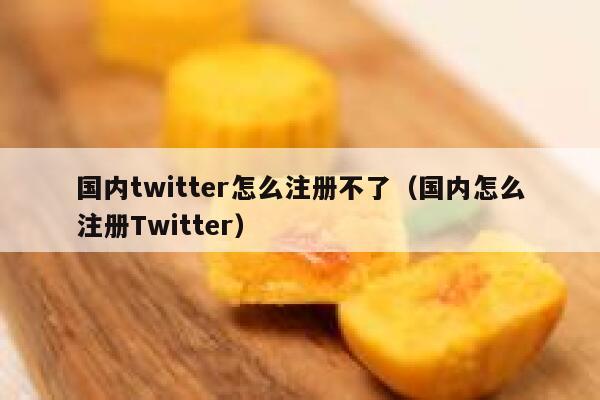 国内twitter怎么注册不了（国内怎么注册Twitter） 第1张