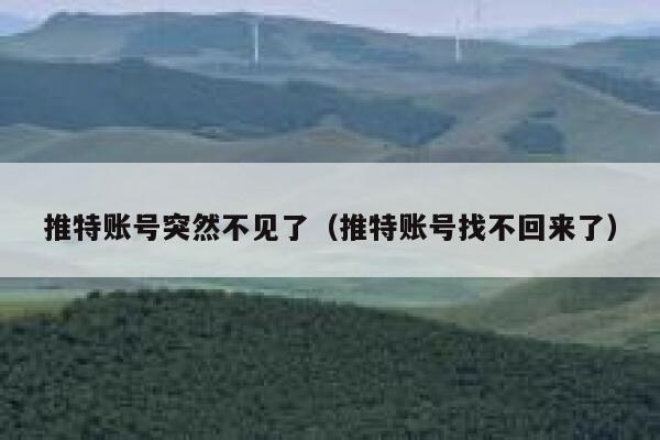 推特账号突然不见了（推特账号找不回来了） 第1张