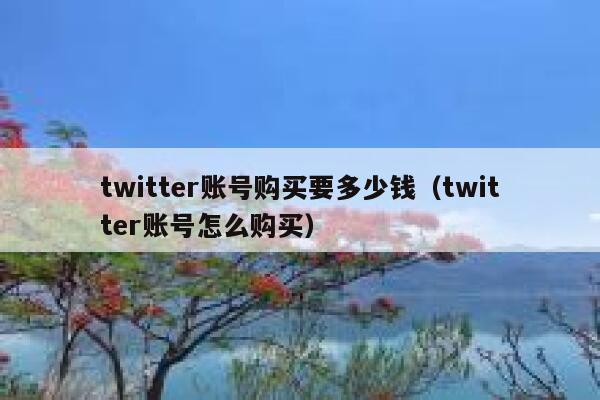 twitter账号购买要多少钱（twitter账号怎么购买） 第1张