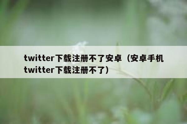 twitter下载注册不了安卓（安卓手机twitter下载注册不了） 第1张