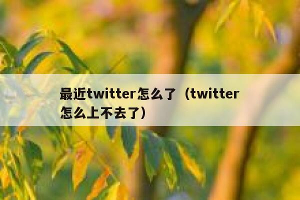 最近twitter怎么了（twitter怎么上不去了） 第1张