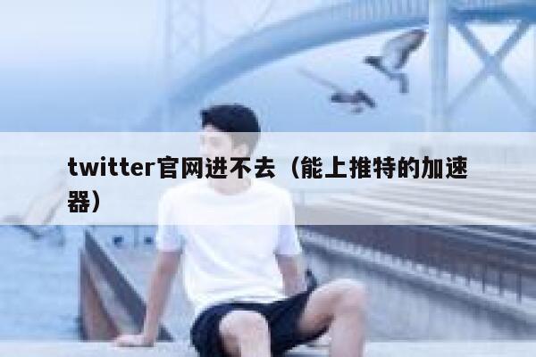 twitter官网进不去（能上推特的加速器） 第1张
