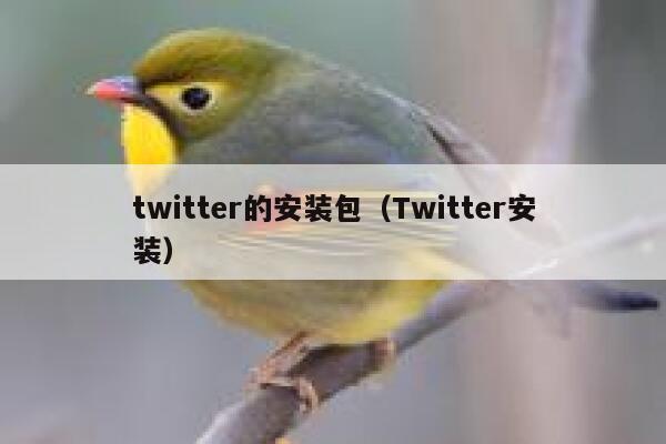 twitter的安装包（Twitter安装） 第1张