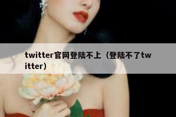 twitter官网登陆不上（登陆不了twitter） 第1张