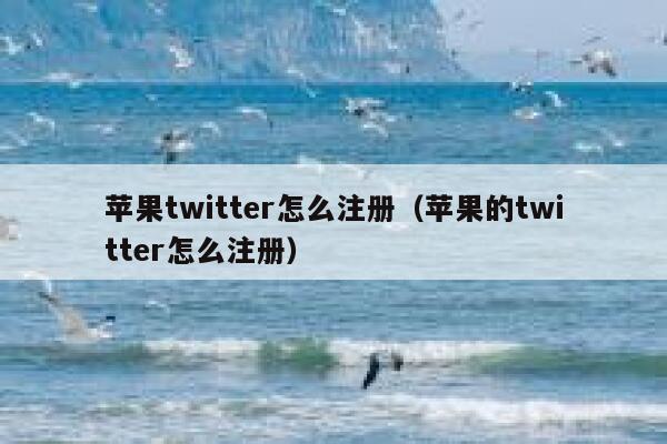 苹果twitter怎么注册（苹果的twitter怎么注册） 第1张