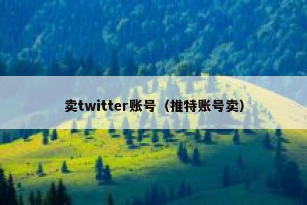 卖twitter账号（推特账号卖） 第1张