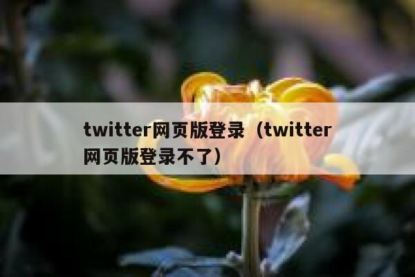 twitter网页版登录（twitter网页版登录不了） 第1张