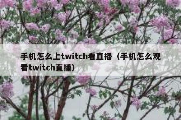 手机怎么上twitch看直播（手机怎么观看twitch直播） 第1张