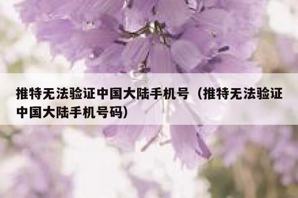 推特无法验证中国大陆手机号（推特无法验证中国大陆手机号码） 第1张