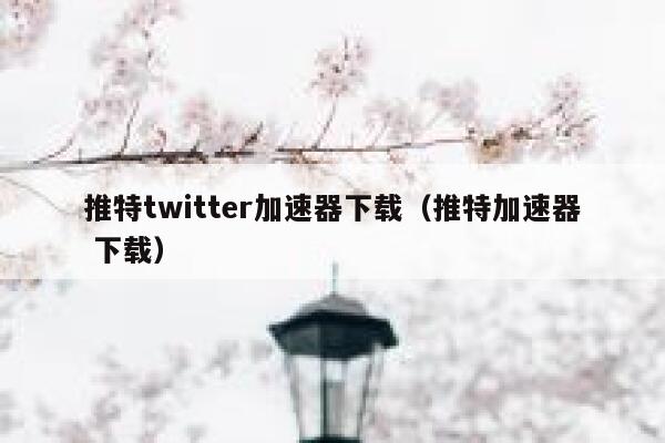 推特twitter加速器下载（推特加速器 下载） 第1张