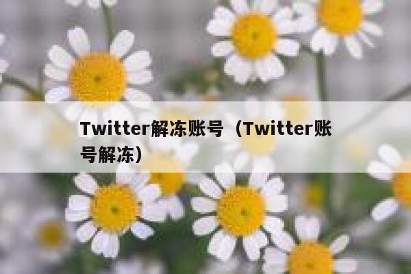 Twitter解冻账号（Twitter账号解冻） 第1张