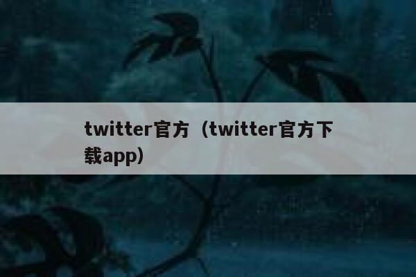twitter官方（twitter官方下载app） 第1张