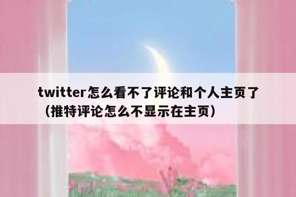 twitter怎么看不了评论和个人主页了（推特评论怎么不显示在主页） 第1张