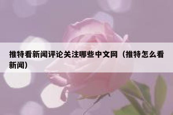 推特看新闻评论关注哪些中文网（推特怎么看新闻） 第1张