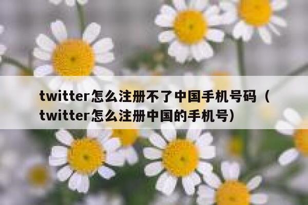 twitter怎么注册不了中国手机号码（twitter怎么注册中国的手机号） 第1张