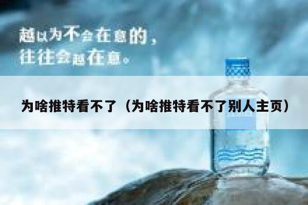 为啥推特看不了(为啥推特看不了别人主页) 第1张 为啥推特看不了(为啥推特看不了别人主页) 第1张
