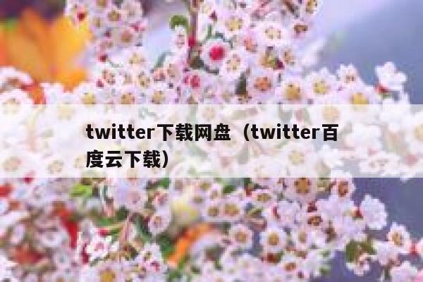 twitter下载网盘（twitter百度云下载） 第1张