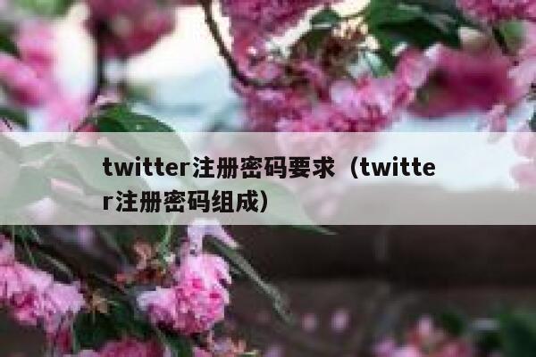 twitter注册密码要求（twitter注册密码组成） 第1张