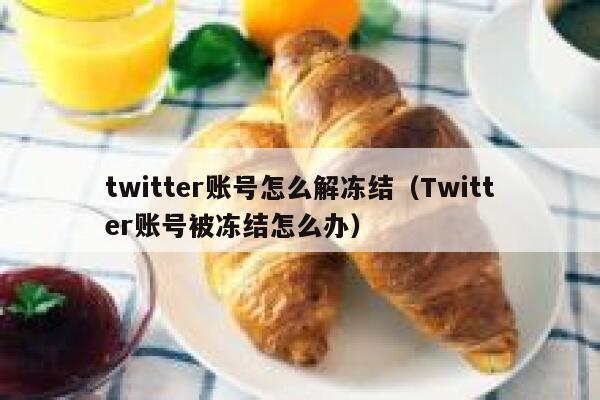 twitter账号怎么解冻结（Twitter账号被冻结怎么办） 第1张