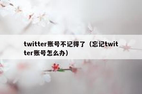 twitter账号不记得了（忘记twitter账号怎么办） 第1张