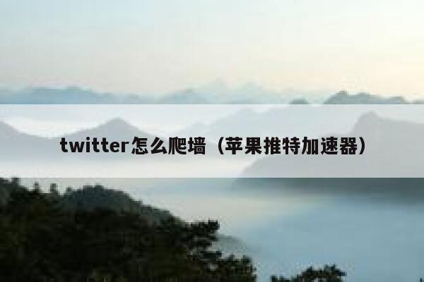twitter怎么爬墙（苹果推特加速器） 第1张