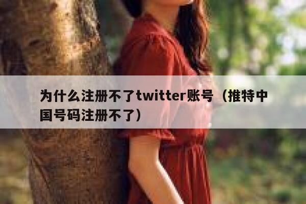 为什么注册不了twitter账号（推特中国号码注册不了） 第1张