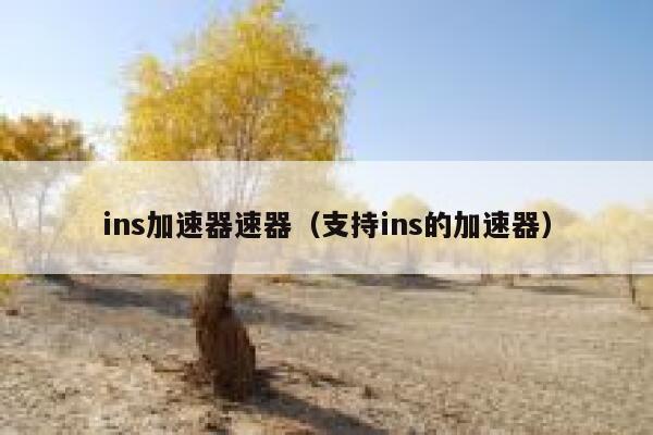 ins加速器速器（支持ins的加速器） 第1张