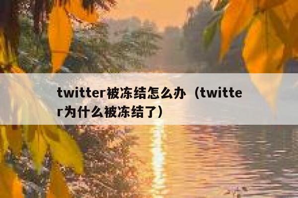 twitter被冻结怎么办（twitter为什么被冻结了） 第1张