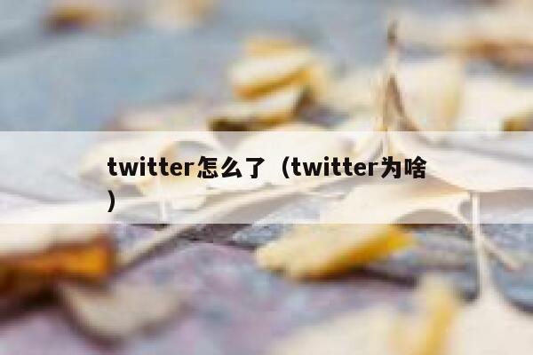 twitter怎么了(twitter为啥) 第1张 twitter怎么了(twitter为啥) 第1张