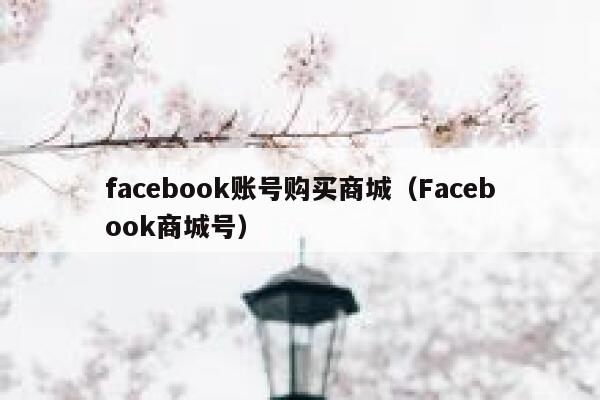 facebook账号购买商城(Facebook商城号) 第1张 facebook账号购买商城(Facebook商城号) 第1张