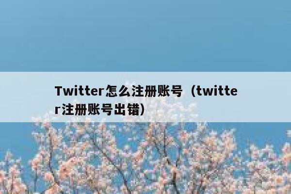 Twitter怎么注册账号(twitter注册账号出错) 第1张 Twitter怎么注册账号(twitter注册账号出错) 第1张