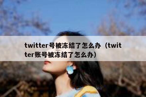 twitter号被冻结了怎么办（twitter账号被冻结了怎么办） 第1张