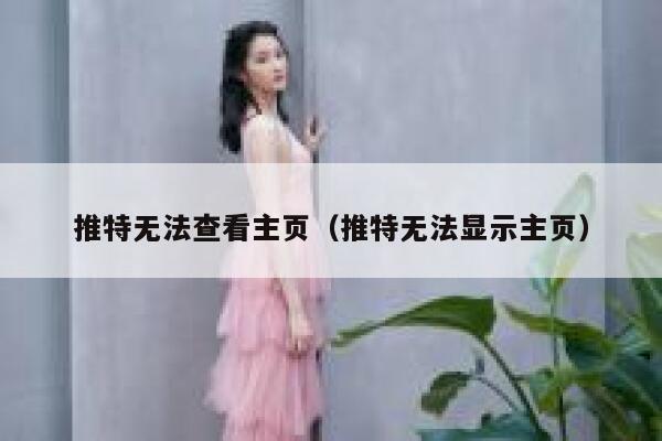 推特无法查看主页（推特无法显示主页） 第1张