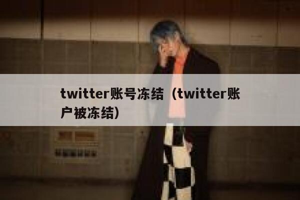 twitter账号冻结（twitter账户被冻结） 第1张