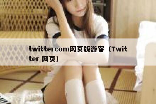 twittercom网页版游客（Twitter 网页） 第1张