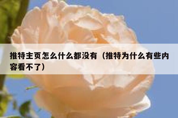 推特主页怎么什么都没有(推特为什么有些内容看不了) 第1张 推特主页怎么什么都没有(推特为什么有些内容看不了) 第1张