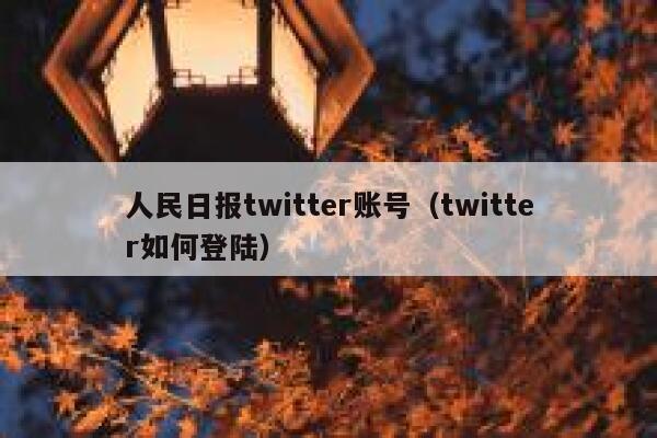 人民日报twitter账号（twitter如何登陆） 第1张