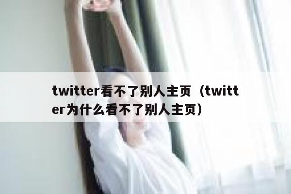 twitter看不了别人主页（twitter为什么看不了别人主页） 第1张