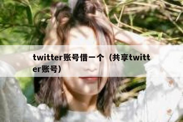 twitter账号借一个（共享twitter账号） 第1张