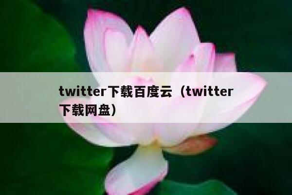 twitter下载百度云（twitter下载网盘） 第1张