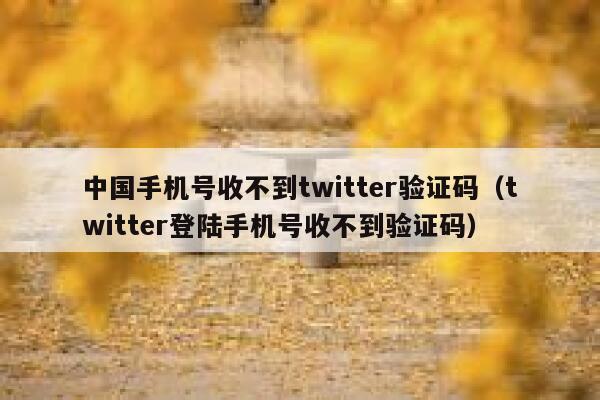 中国手机号收不到twitter验证码（twitter登陆手机号收不到验证码） 第1张