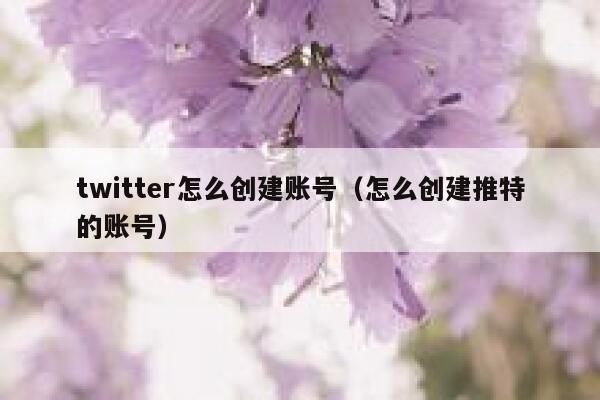 twitter怎么创建账号（怎么创建推特的账号） 第1张