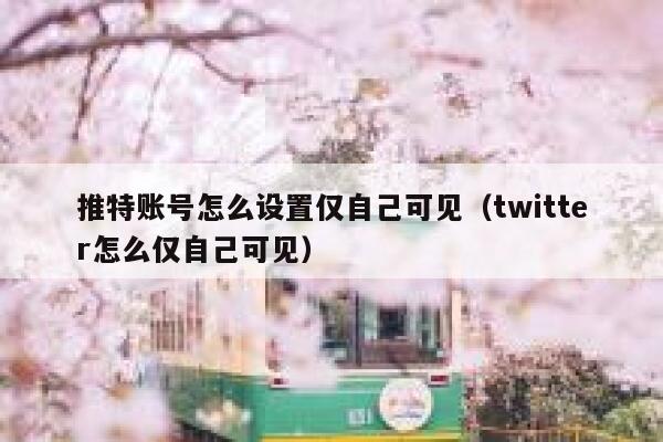 推特账号怎么设置仅自己可见（twitter怎么仅自己可见） 第1张