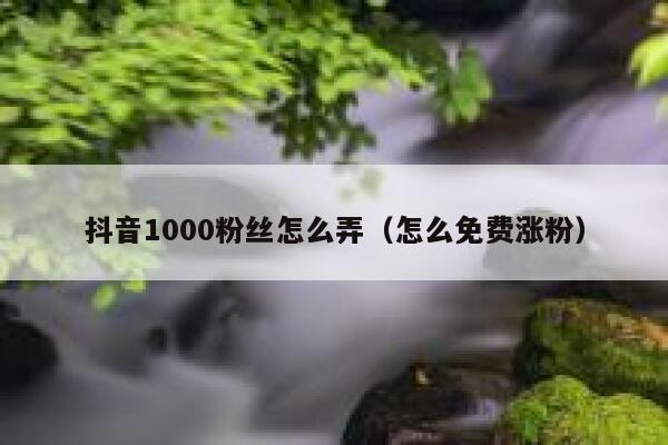 抖音1000粉丝怎么弄（怎么免费涨粉） 第1张