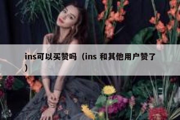 ins可以买赞吗（ins 和其他用户赞了） 第1张