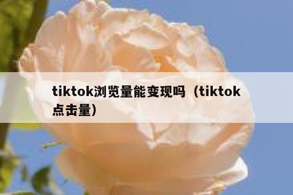 tiktok浏览量能变现吗（tiktok点击量） 第1张
