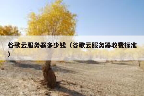 谷歌云服务器多少钱（谷歌云服务器收费标准） 第1张